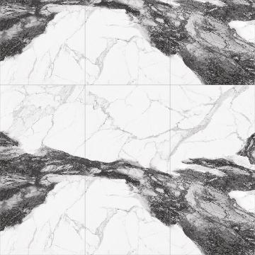 RD241203-A
