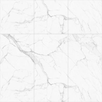 RD241204-A