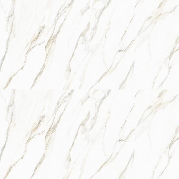 Calacatta Gold Stone in White